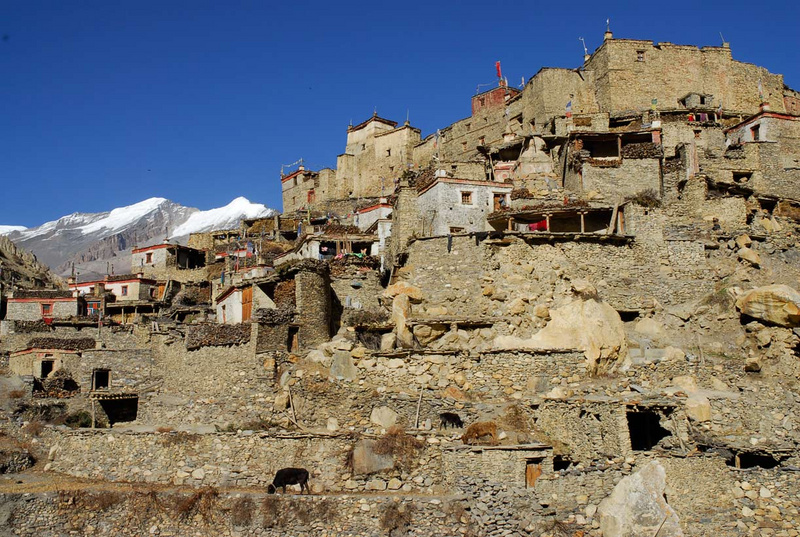 Trekking in Nepal Nar Phu
