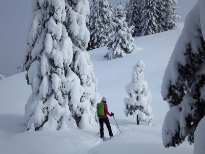 Wandern & Trekking