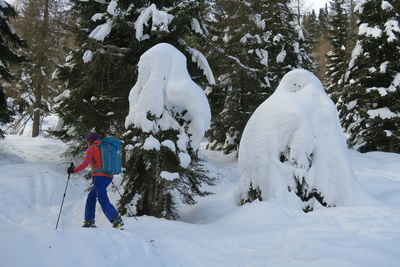 Skitourenwoche Sappada